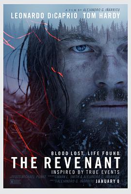 电影《荒野猎人 The Revenant》4k在线免费观看