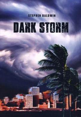 爱妻艺《黑色风暴 Dark Storm》免费在线观看