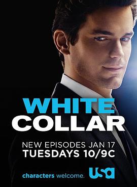 爱妻艺《妙警贼探 第三季 White Collar Season 3》免费在线观看