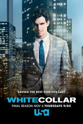 爱妻艺《妙警贼探 第六季 White Collar Season 6》免费在线观看