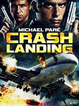 爱妻艺《紧急着陆 Crash Landing》免费在线观看