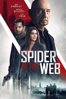 爱妻艺《网中蜘蛛 Spider In The Web》免费在线观看