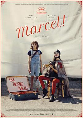 爱妻艺《马赛尔 Marcel!》免费在线观看