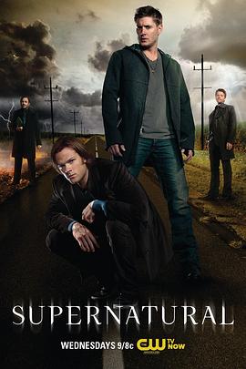 爱妻艺《邪恶力量 第八季 Supernatural Season 8》免费在线观看