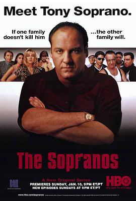 爱妻艺《黑道家族 第一季 The Sopranos Season 1》免费在线观看