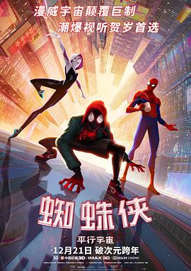 爱妻艺《蜘蛛侠：平行宇宙 Spider-Man: Into the Spider-Verse》免费在线观看