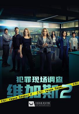 电视剧《犯罪现场调查：维加斯 第二季 CSI: Vegas Season 2》4k在线免费观看