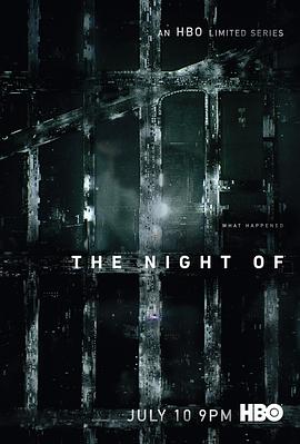 爱妻艺《罪夜之奔 The Night Of》免费在线观看