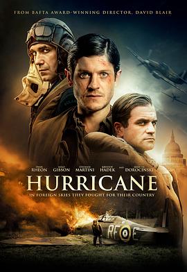 爱妻艺《飓风行动 Hurricane》免费在线观看