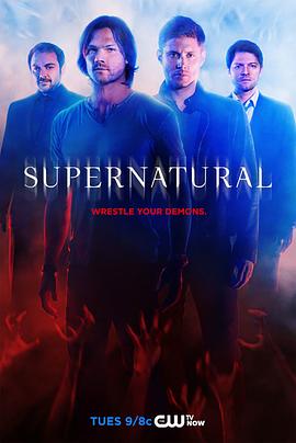 爱妻艺《邪恶力量 第十季 Supernatural Season 10》免费在线观看