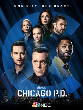 电视剧《芝加哥警署 第九季 Chicago P.D. Season 9》高清免费在线观看