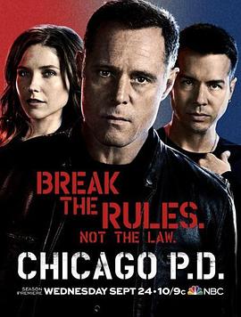 爱妻艺《芝加哥警署 第二季 Chicago P.D. Season 2》免费在线观看