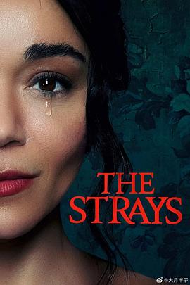 爱妻艺《流浪者 The Strays》免费在线观看