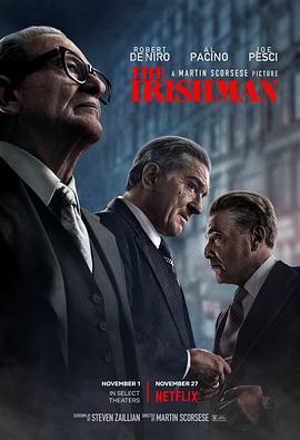 爱妻艺《爱尔兰人 The Irishman》免费在线观看