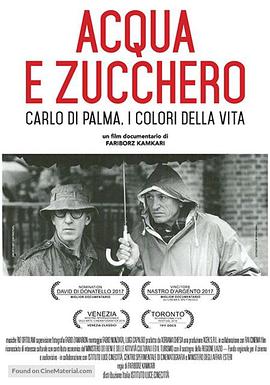 爱妻艺《水与糖：摄影家卡洛·迪·帕尔马的生活与色彩 Acqua e zucchero: Carlo Di Palma, i colori della vita》免费在线观看