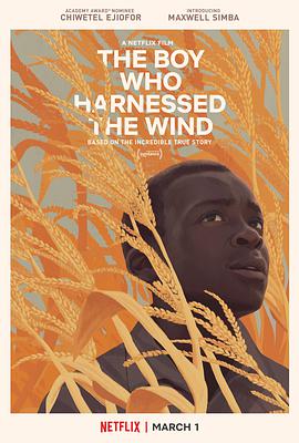 爱妻艺《驭风男孩 The Boy Who Harnessed the Wind》免费在线观看