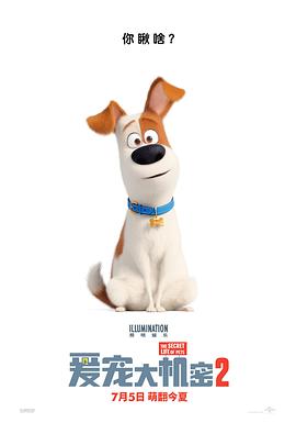 爱妻艺《爱宠大机密2 The Secret Life of Pets 2》免费在线观看