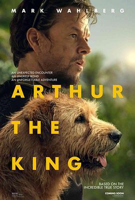 爱妻艺《冠军亚瑟 Arthur the King》免费在线观看