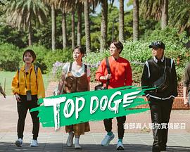 爱妻艺《TOP DOG》免费在线观看