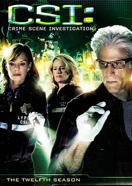 爱妻艺《犯罪现场调查 第十二季 CSI: Crime Scene Investigation Season 12》免费在线观看