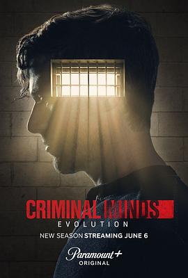 爱妻艺《犯罪心理：演变 第十七季 Criminal Minds: Evolution Season 17》免费在线观看