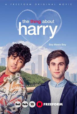 爱妻艺《关于哈利的那些事 The Thing About Harry》免费在线观看