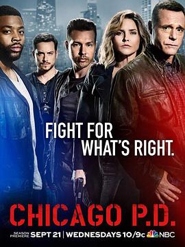 爱妻艺《芝加哥警署 第四季 Chicago P.D. Season 4》免费在线观看