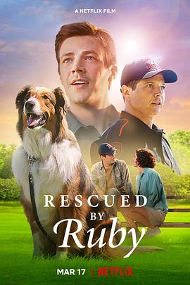 爱妻艺《义犬救主 Rescued by Ruby》免费在线观看