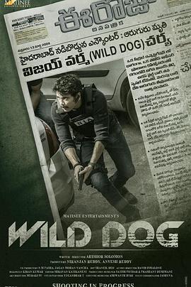 爱妻艺《野狗 Wild Dog》免费在线观看