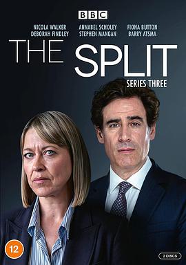 爱妻艺《家裂 第三季 The Split Season 3》免费在线观看