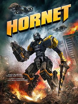 爱妻艺《山寨大黄蜂 Hornet》免费在线观看