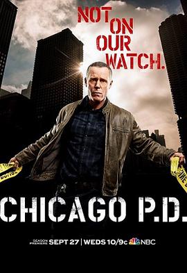 爱妻艺《芝加哥警署 第五季 Chicago P.D. Season 5》免费在线观看