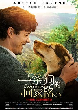 爱妻艺《一条狗的回家路 A Dog's Way Home》免费在线观看