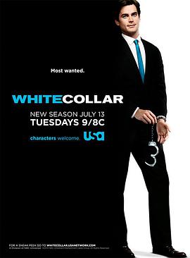 爱妻艺《妙警贼探 第二季 White Collar Season 2》免费在线观看