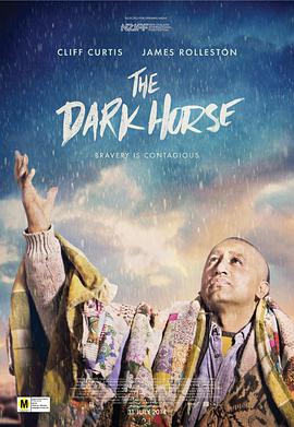 爱妻艺《黑马 The Dark Horse》免费在线观看