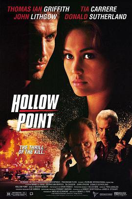 爱妻艺《危机风暴 Hollow Point》免费在线观看