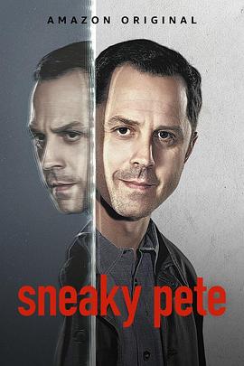 爱妻艺《诈欺担保人 第三季 Sneaky Pete Season 3》免费在线观看