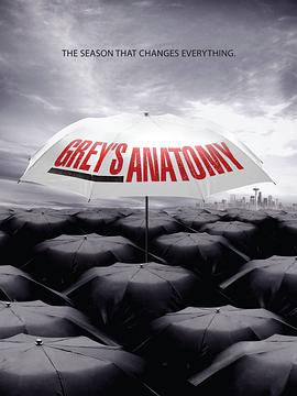 爱妻艺《实习医生格蕾 第六季 Grey's Anatomy Season 6》免费在线观看