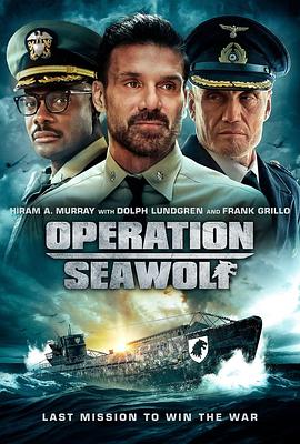 爱妻艺《海狼行动 Operation Seawolf》免费在线观看