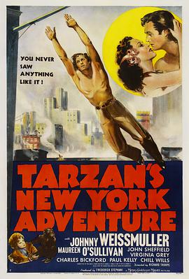 爱妻艺《泰山纽约冒险 Tarzan's New York Adventure》免费在线观看