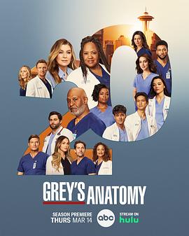 爱妻艺《实习医生格蕾 第二十季 Grey’s Anatomy Season 20》免费在线观看